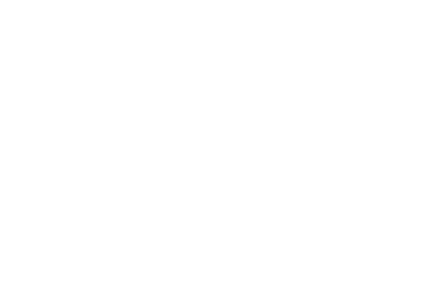 Metzlr